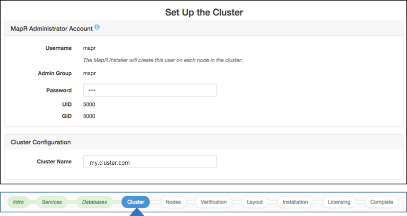 Cluster Setup